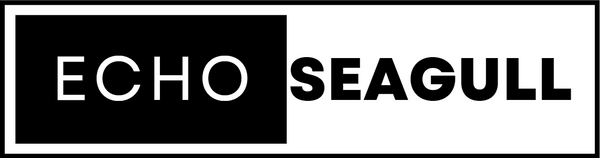 EchoSeagull
